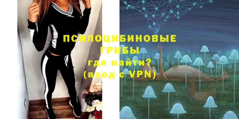 Псилоцибиновые грибы прущие грибы  Мытищи 